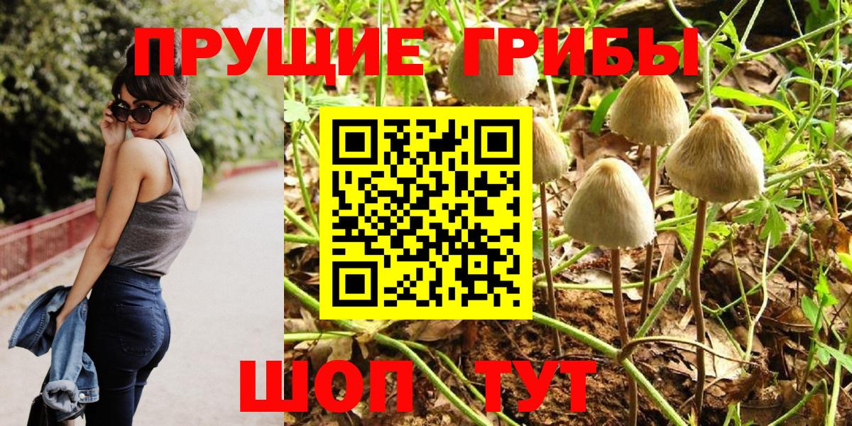 Галлюциногенные грибы Cubensis  наркота  Псилоцибиновые грибы ЛСД  Великие Луки  Вход с VPN 