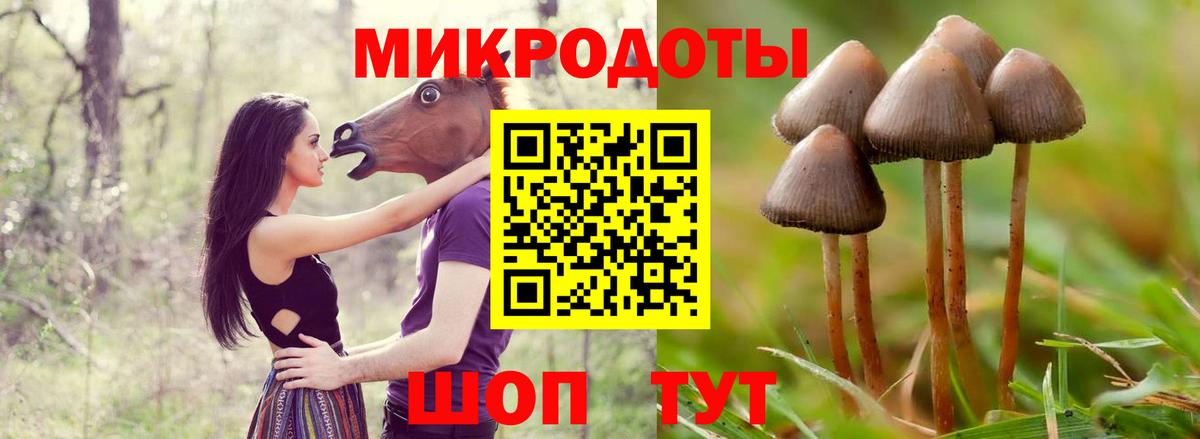 Псилоцибиновые грибы мухоморы Великие Луки